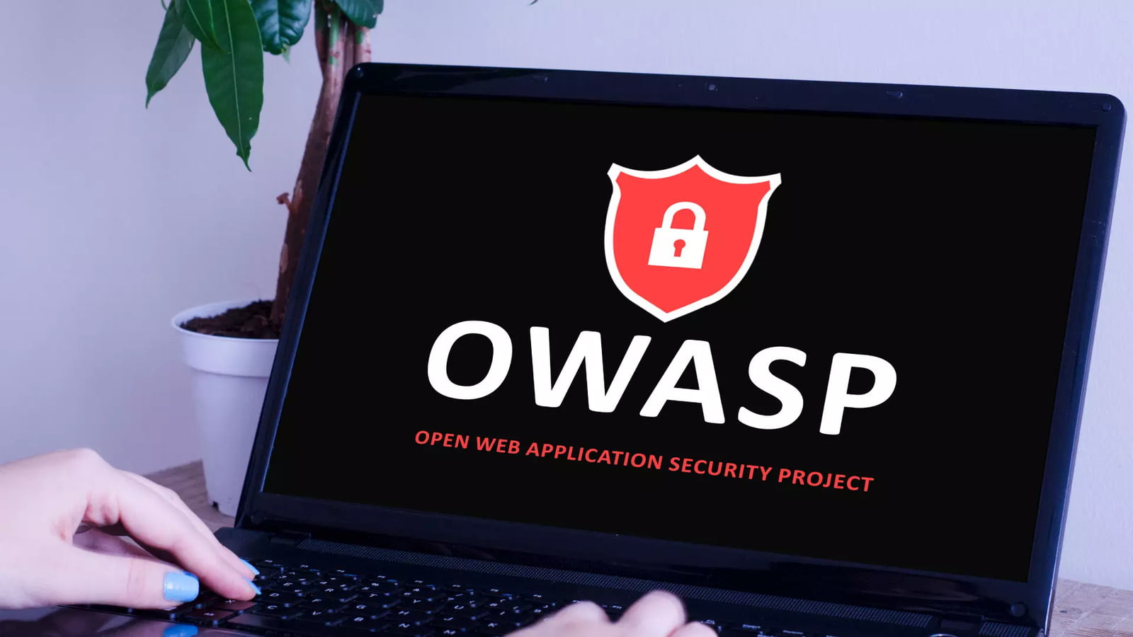 OWASP ¿Qué es y para qué sirve?
